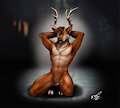 Clovis Cocky Captive - SFW by sunitai