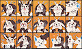 Owl Stickers