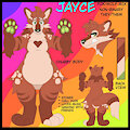 Jayce Reference Sheet