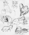 just alty lesbian wolf things by Jacqal