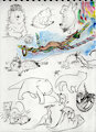 enrichment activities by Jacqal