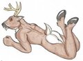 deer butt