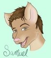 Meet Samuel by Requiem