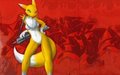 RENAMON by miw