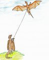 Kite 