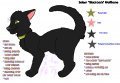 Salem "BlackJack" Wolfbane 