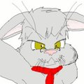 Samtrip animation by Humbug