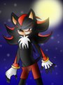 By the Light of the Moon