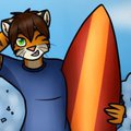 Sun, Surf and Stripes