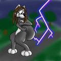 Wibble's Holiday