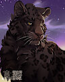 January portrait 4/4 by MelodyOfForest