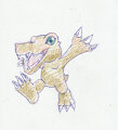 Agumon by DrakeDrakkon