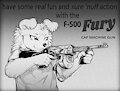F-500 Fury by 1ksrw
