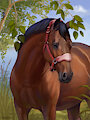 Tenor by MsBeesa