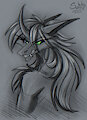 Brush tests by SunnyWay