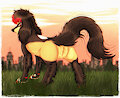 Ferretdog at Sunset