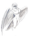 Owl Sketch by BluMourning