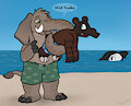 Nice trunks by Linker