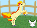 Ponyta at a Ranch by KendraEevee