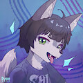 huskii by duskii