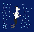 Sebashton Merdog shaking his fishy butt