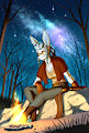 [C] Gale's Night Under the Starlit Sky by MykeGreywolf