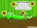 The Cricket