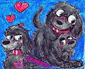Poodle Time