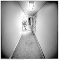 The corridors within walls by masterzoroark666