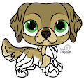 Dog Adopt [OPEN]