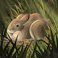 Rabbit nest by Uluri