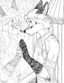 Shelly & The Fox inthe Window