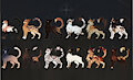 ADOPTS // CATS by somnoire