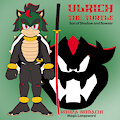 Ulrich the Turtle by MidnightMuser