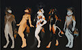 ANTHRO // ADOPTS