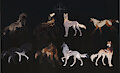 WOLF ADOPTABLES