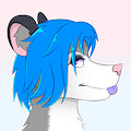 Possumz