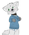 Secret collar by mired