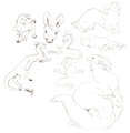 dragon-donkey-mat