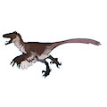 UTAHRAPTOR