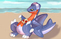 Beach toy.
