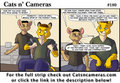 Cats n Cameras Strip #180 Go get the pole, Mr. Bunny