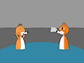 hot spring foxes