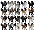 OPEN WOLF ADOPTS