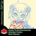 New Panda (WIP)