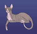 Sphynx