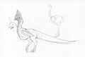 Raptor by FenSketch