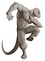 Tegu / Teyu free to use base