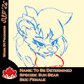 New Sun Bear (WIP)
