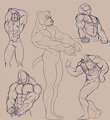 Flex sketches
